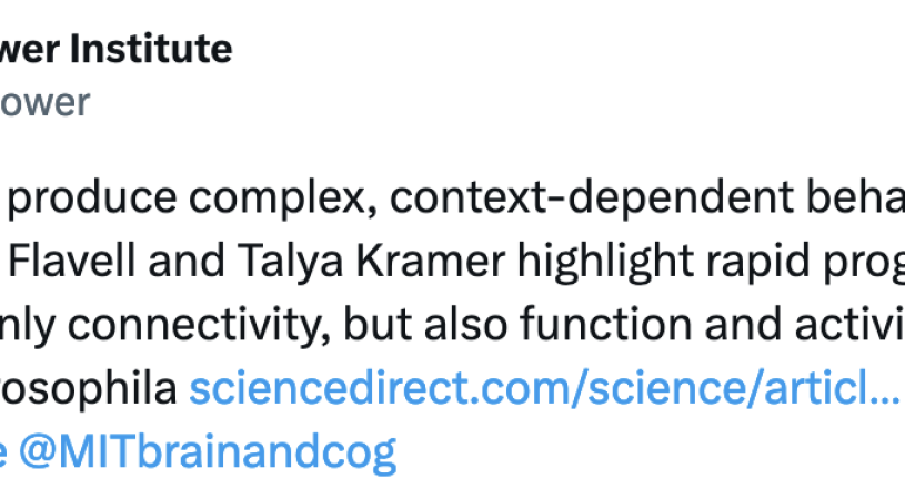 How do brains produce complex, context-dependent behavior?